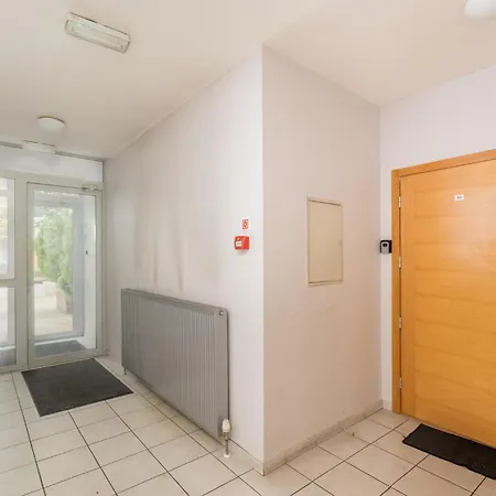 Spacious In A Park Zone With The Private Terrace *