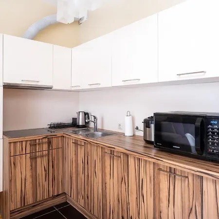 Apartment Spacious In A Park Zone With The Private Terrace Riga